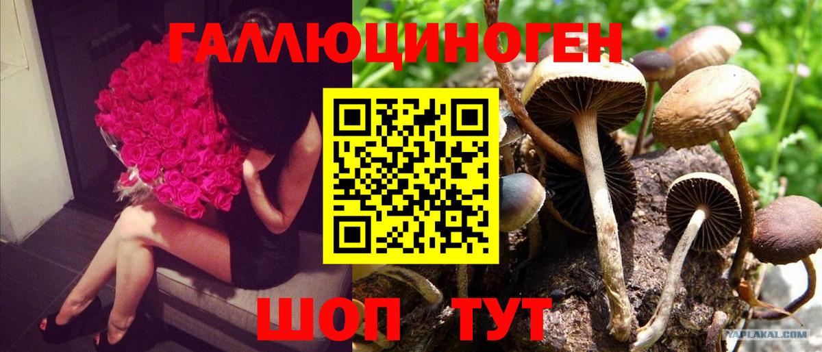Псилоцибиновые грибы MAGIC MUSHROOMS  Галлюциногенные грибы Cubensis  Вход с VPN  Торжок 
