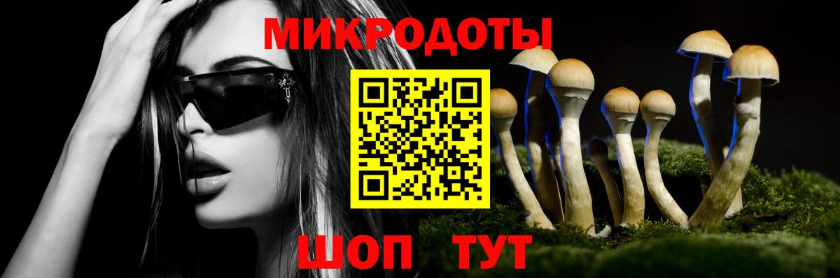 Галлюциногенные грибы мицелий Торжок